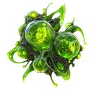Biomasse